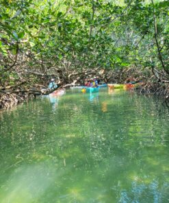 Alternative view of Island Hopping Rookery Tour