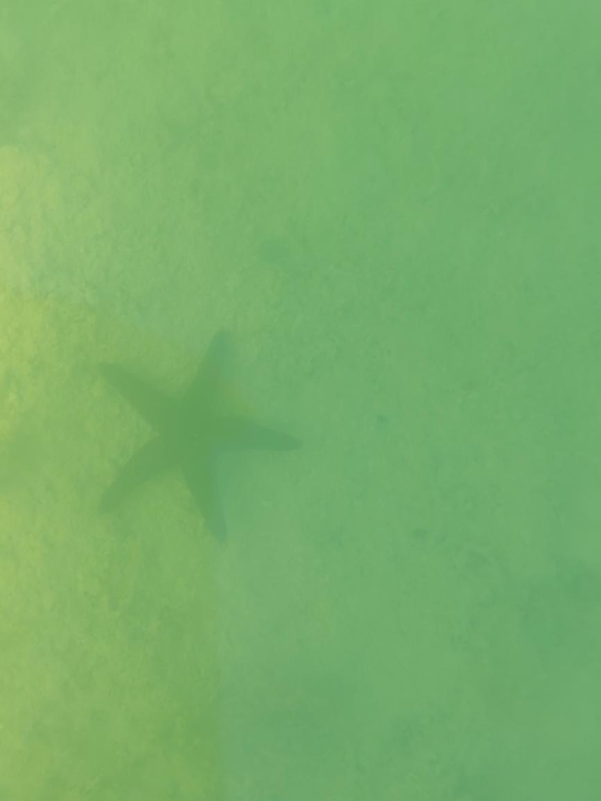 Coupon Bight Eco Tour - Big Pine Key, FL - Image 3