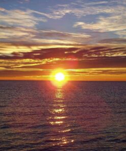 Sunset Kayak & Paddleboared Rental (Marathon, FL)