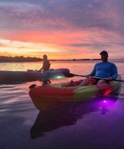 Sunset & Night Eco Tour - Marathon, FL