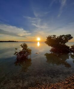 Florida Keys Sunset Kayak Tour