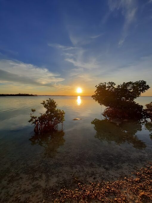 Florida Keys Sunset Kayak Tour