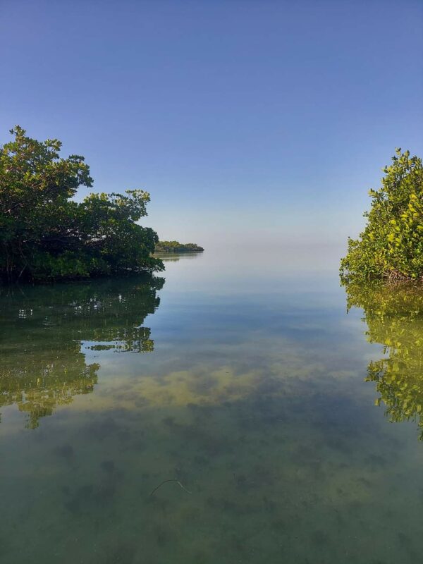 Florida Keys Kayak and Paddleboard