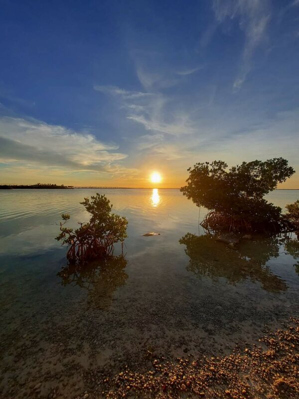 Florida Keys Kayak and Paddleboard