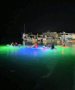 Alternative view of Night Eco Tour - Marathon, FL