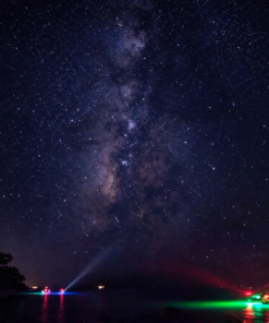 Night Eco Tour - Marathon, FL